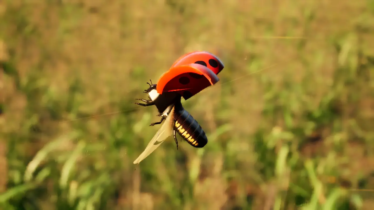 Bild aus dem Spiel: ein Marienkäfer im Flug, von der Seite, vor einer unscharfen Wiese.